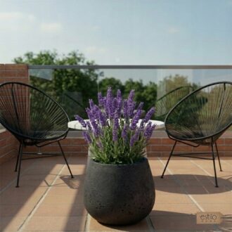 48a1911465668cc67fffb69d5554aa9a