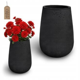 38c904f109b1e0240c9dbdaa3f930e02