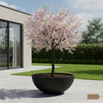 6ad6d1ac36c05038de4f59963219d2c1