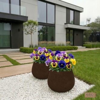 9de037a37fd974a0cf834d07a5e701b0