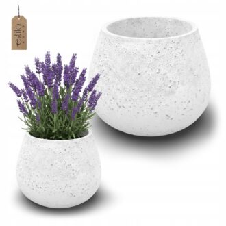 f62e6a3315db7d93b5de87c62555a25c