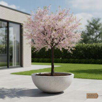 926d7be6fd3d27cb1d699653e861e933