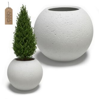 c801ffaf6268ca6b7a1fea1eae9fbfc1