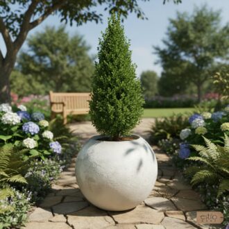 31ef07130b37833245c319ac5206ff3c