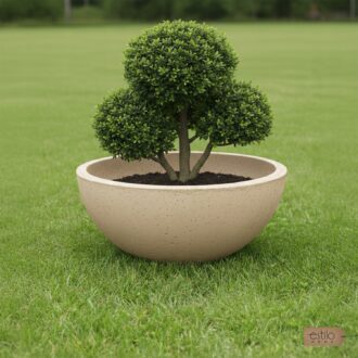 0050e545f9fcedc1335261ca6a2872c2