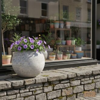 3426798251f448cf712c8842ff435620