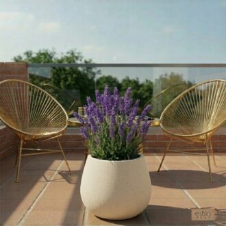 d68decb32c056db3993d7fcfb13be23b