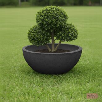 e398481cefc28e2fa90b11edaae3bb70