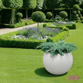 23a5dc1175e7ee48785335da8553efe6